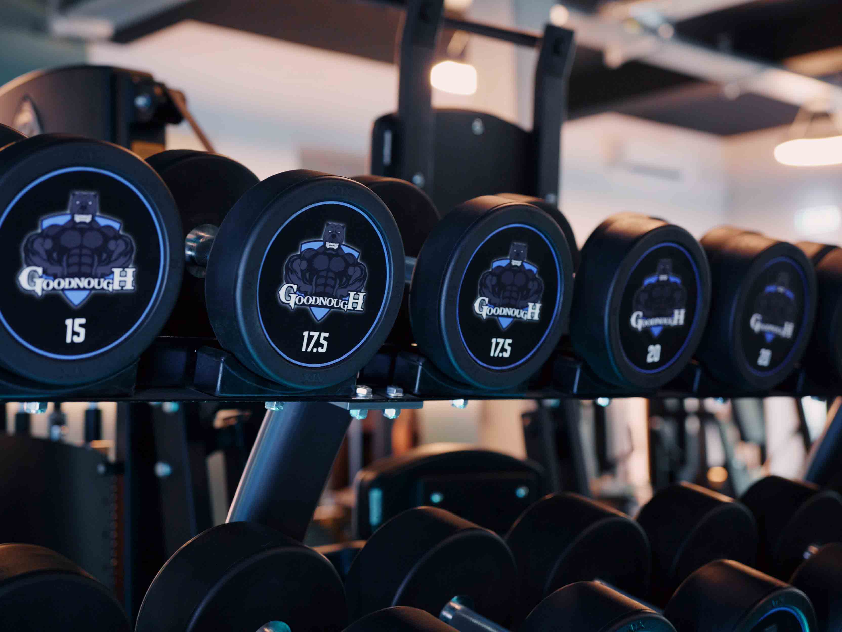 Kurzhanteln verschiedener Gewichte auf einem Halter im Fitnessstudio.